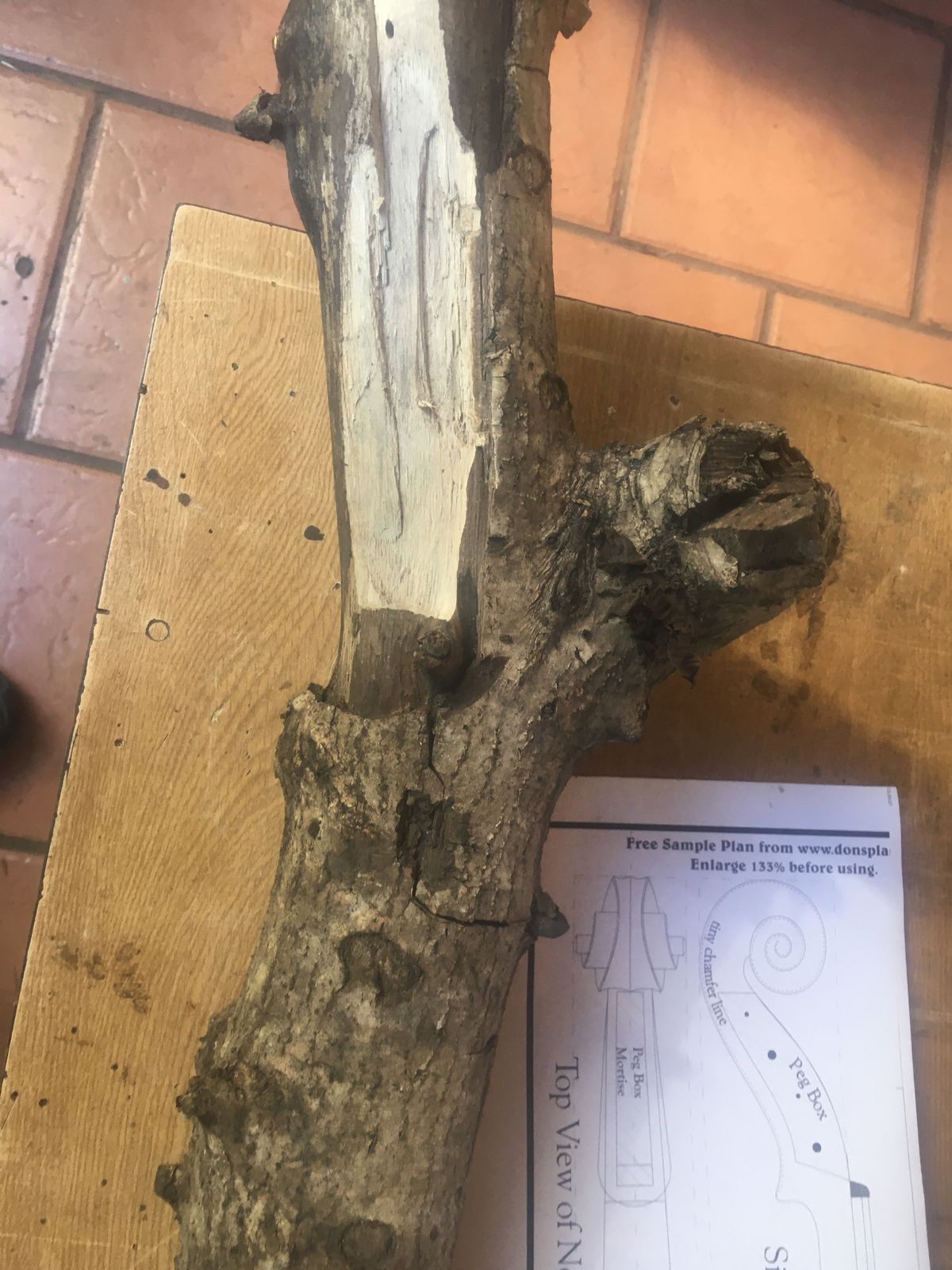 WhatsApp Image 2025-04-27 at 23.11.02.jpeg